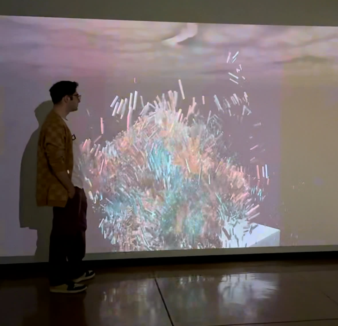 Organic Reflections installation