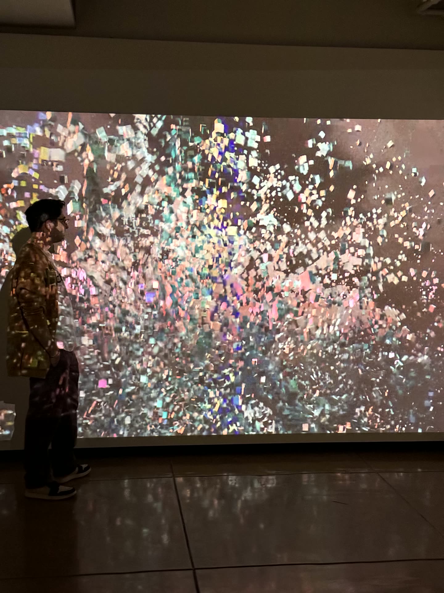 Organic Reflections installation view