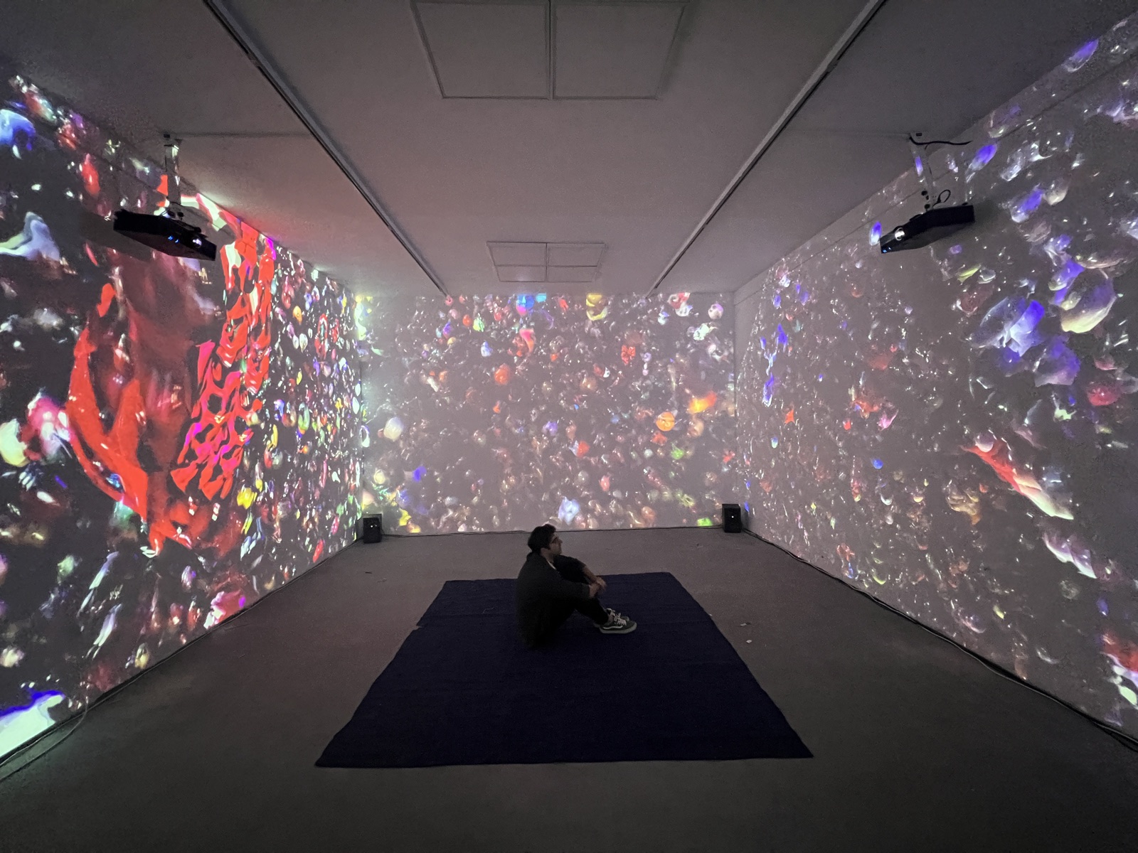 Shadows installation view